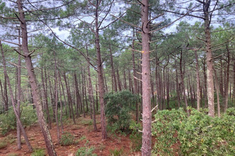 achat appartement carcans 33121