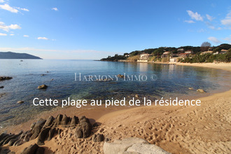 achat appartement casaglione 20111