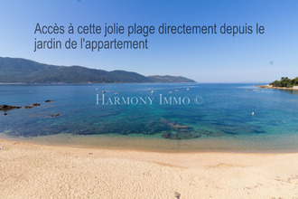 achat appartement casaglione 20111