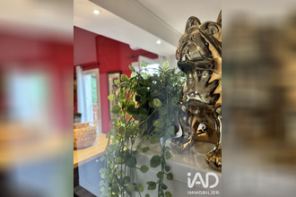 achat appartement castres 81100