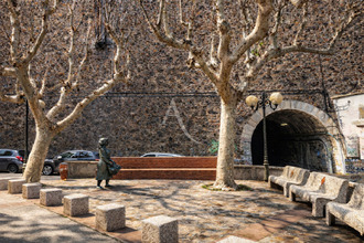 achat appartement cerbere 66290