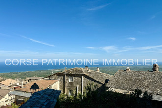 achat appartement cervione 20221