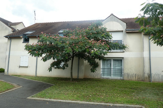 achat appartement chateauneuf-sur-loire 45110