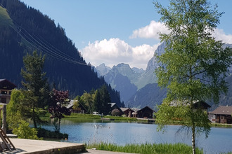 achat appartement chatel 74390