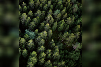 achat appartement cluses 74300