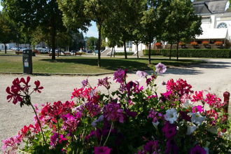 achat appartement contrexeville 88140