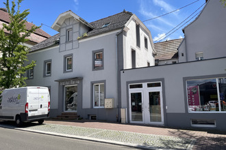 achat appartement dannemarie 68210