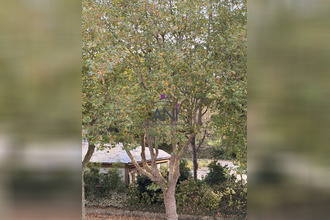 achat appartement dieppe 76200