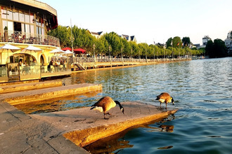 achat appartement enghien-les-bains 95880