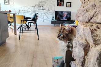 achat appartement epinal 88000