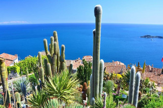 achat appartement eze 06360