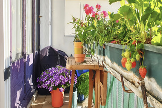 achat appartement fontenay-le-fleury 78330