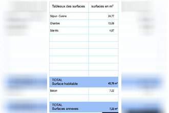 achat appartement fouras 17450