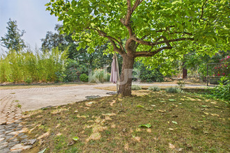 achat appartement ghisonaccia 20240