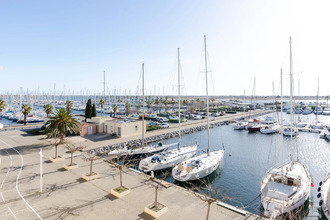 achat appartement gruissan 11430