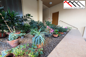 achat appartement habsheim 68440