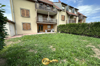 achat appartement hagenthal-le-bas 68220