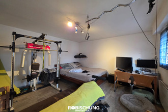 achat appartement hirsingue 68560