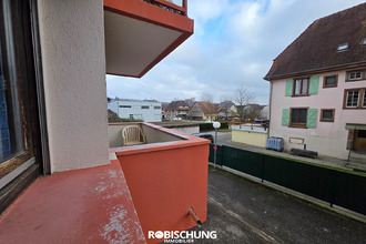 achat appartement hirsingue 68560
