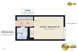 achat appartement huningue 68330