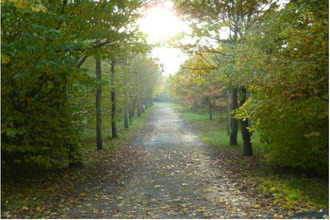 achat appartement ifs 14123