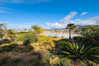 achat appartement l-ile-rousse 20220