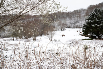 achat appartement la-bresse 88250