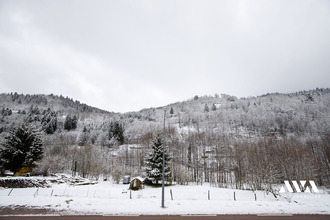 achat appartement la-bresse 88250