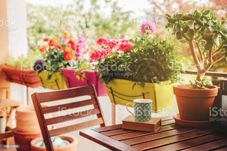 achat appartement la-teste-de-buch 33260