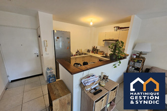 achat appartement lamentin 97232