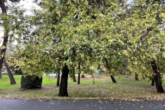 achat appartement le-bouscat 33110