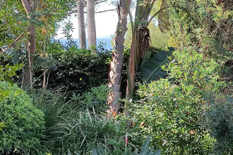 achat appartement le-lavandou 83980