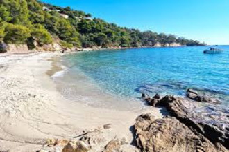 achat appartement le-lavandou 83980