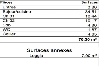 achat appartement le-taillan-medoc 33320