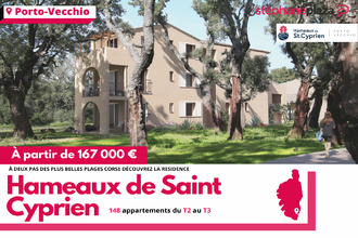 achat appartement lecci 20137