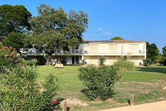 achat appartement lecci 20137