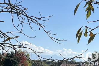 achat appartement lescar 64230