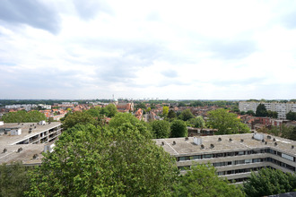 achat appartement lille 59800