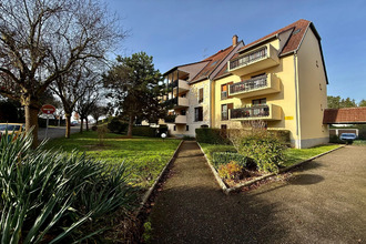 achat appartement lingolsheim 67380