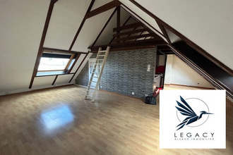 achat appartement lingolsheim 67380