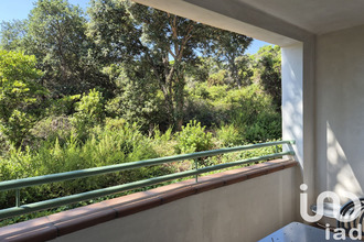 achat appartement linguizzetta 20230