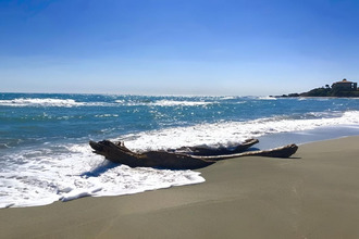 achat appartement linguizzetta 20230