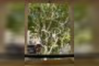 achat appartement lorgues 83510