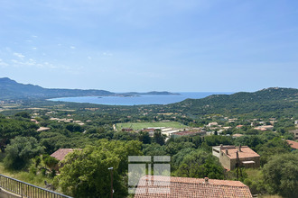 achat appartement lumio 20260