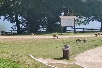 achat appartement mantes-la-jolie 78200