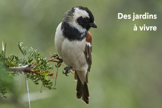 achat appartement marcheprime 33380