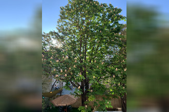 achat appartement marseille 13001