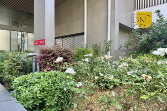 achat appartement marseille 13008