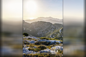 achat appartement marseille 13011