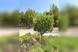 achat appartement martigues 13500